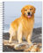 Golden Retrievers | 2024 6 x 7.75 Inch Spiral-Bound Wire-O Weekly Engagement Planner Calendar | New Full-Color Image Every Week | BrownTrout | Animals Dog Breeds Pets