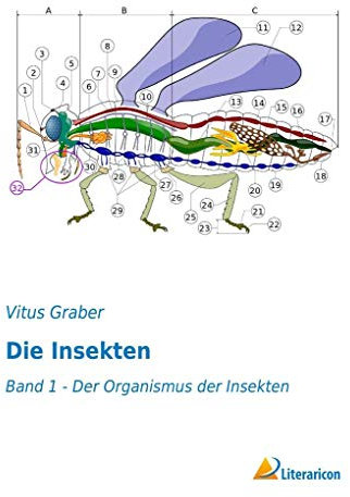 Die Insekten: Band 1 - Der Organismus der Insekten