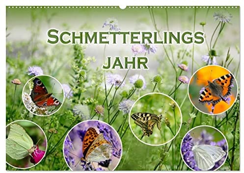 Schmetterlingsjahr (Wandkalender 2026 DIN A2 quer), CALVENDO Monatskalender: Heimische Schmetterlinge digital eingefangen. (CALVENDO Tiere)