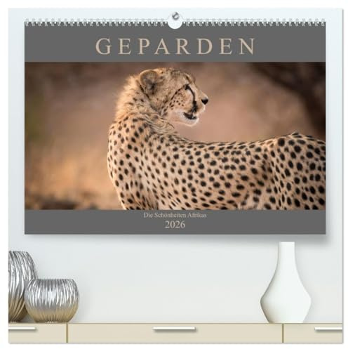 Geparden - Die Schönheiten Afrikas (hochwertiger Premium Wandkalender 2026 DIN A2 quer), Kunstdruck in Hochglanz: Die Schönheiten Afrikas - Geparden Fotografiert von Markus Pavlowsky (CALVENDO Tiere)