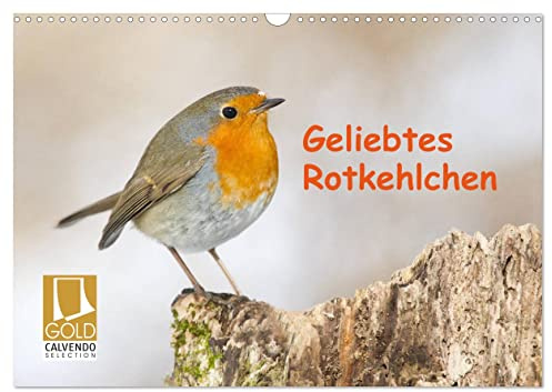 Geliebtes Rotkehlchen (Wandkalender 2026 DIN A3 quer), CALVENDO Monatskalender: Das anmutige Rotkehlchen präsentiert sich im Lauf der Jahreszeiten (CALVENDO Tiere)