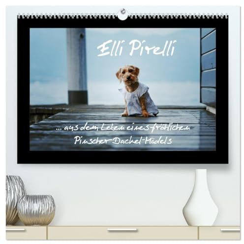Elli Pirelli... aus dem Leben eines fröhlichen Pinscher-Dackel-Mädels (hochwertiger Premium Wandkalender 2026 DIN A2 quer), Kunstdruck in Hochglanz (CALVENDO Tiere)