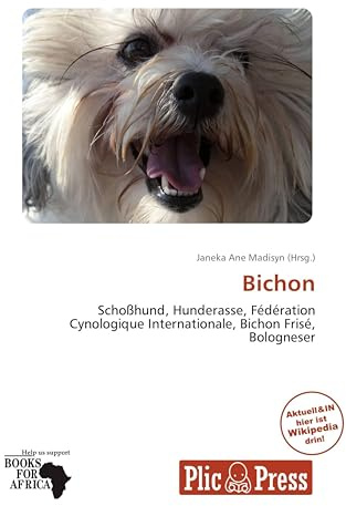 Bichon: Schoßhund, Hunderasse, Fédération Cynologique Internationale, Bichon Frisé, Bologneser