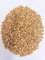 WIDU Bio Weizen geeignet zum Backen Getreide Ganzes Korn 25 KG Getreidesack