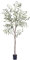 Phimos Artificial Olive Tree Tall Fake Potted Olive Silk Tree with Planter Large Faux Olive Branches and Fruits Artificial Tree for Modern Home Office Living Room Floor Decor Indoor (7FT)