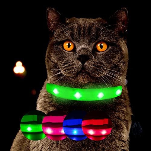 Leuchthalsband für Katzen [Das Original] Leuchtendes LED Katzenhalsband zum spazieren gehen auch im Dunkeln - sehr Lange Akkulaufzeit – Sicher Dank starker Leuchtkraft - Katzenhalsband (S, Grün)