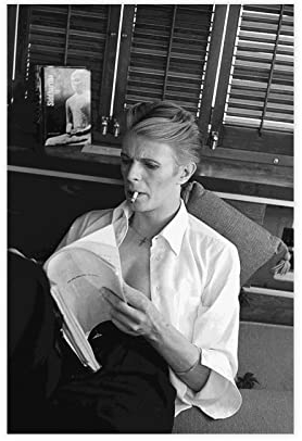 David Bowie Art Poster Album Cover Musikposter (5) Leinwandposter Wandkunst Dekor Druck Bild Gemälde für Wohnzimmer Schlafzimmer Dekoration Rahmen Stil 08x12inch (20x30cm)