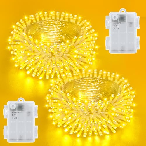 Dalugo 2 Pack Battery String Lights, 3M 30 LED Warm White Waterproof String Lights with 6-Hour Timer for Indoor and Outdoor