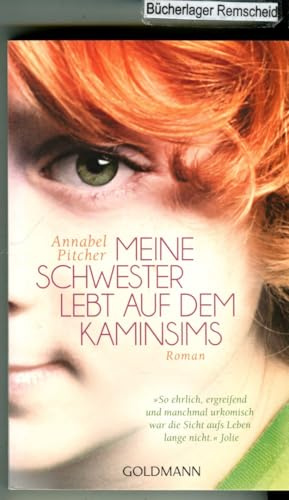 Meine Schwester lebt auf dem Kaminsims: Roman