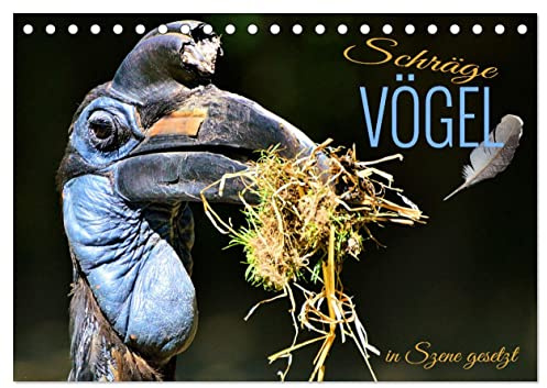 Schräge Vögel in Szene gesetzt (Tischkalender 2026 DIN A5 quer), CALVENDO Monatskalender: Faszinierende Bilder skurriler und exotischer Vogelarten rund um den Globus (CALVENDO Tiere)