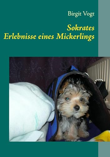 Sokrates: Erlebnisse eines Mickerlings
