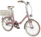 Alpina Bike Unisex Jugend Camping fahrrad1v, Rosa, 20
