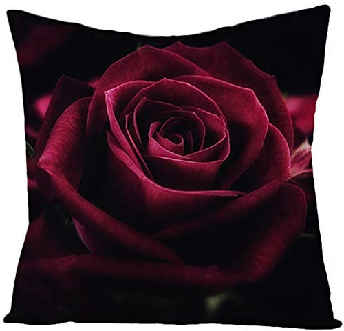 CEVAN Leinen Kissenbezüge Junge Kissenhülle Jugendzimmer Kissenbezüge Kinder Set Kissen Kissenbezüge Sofa Dekor 45x45 cm