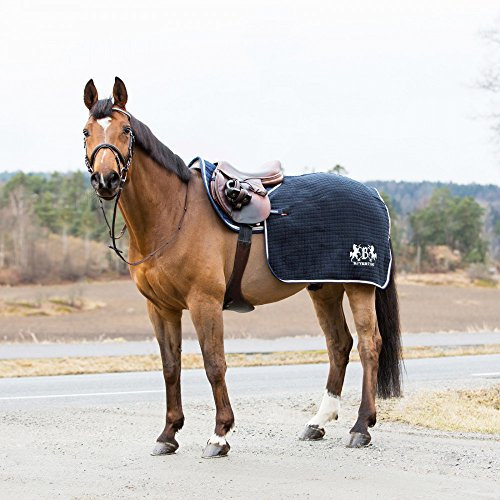 B Vertigo Concord Trainings-Decke für Pferde bei kaltem Wetter, Trainingsdecke, Warme Nierendecke, Atmungsaktiv, DREI Lagig, Größe 75-65 cm, Dunkelnavy, Blau, L 155/165