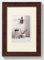 walther design Bilderrahmen nussbaum 60 x 90 cm mit Passepartout, Home Holzrahmen HO090N