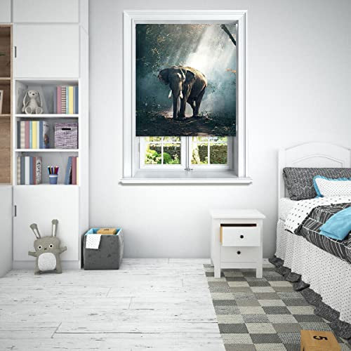 Lister Cartwright Photographic Blackout Roller Blinds For Bedroom Windows - (120 x 140 cm) Easy to Fit Polyester Roller Blinds For Windows With Child Safety Included - Elephant