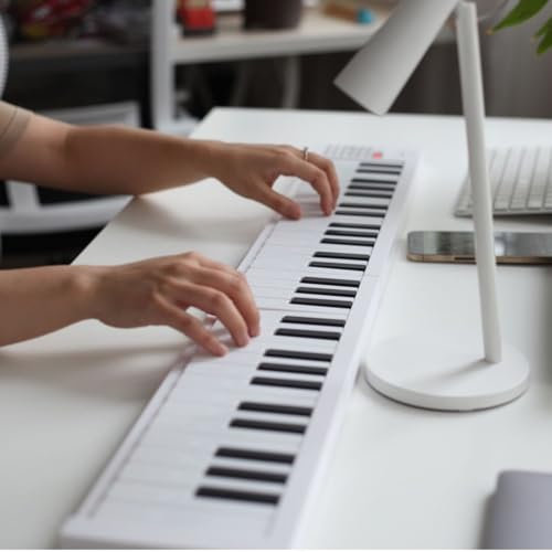 61 Key Foldable Piano, Portable Electric Keyboard with Full Size Keys, Recording, Playback, for Beginners, Students, Professionals