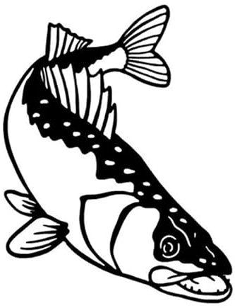 JIFENLI Autoaufkleber 11,6 * 15,2 CM Zander Angeln personalisierte Auto Aufkleber Aufkleber Aufkleber Motorradzubehör Schwarz Silber