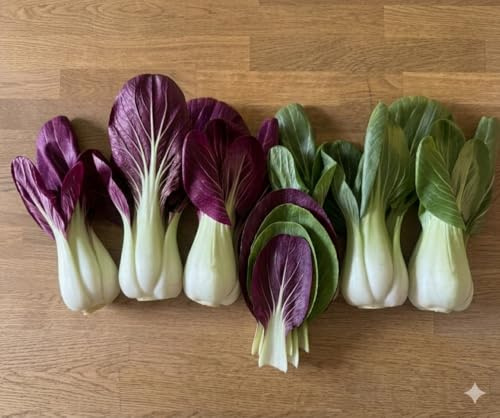 Mezcla exótica de Pak Choi morado y verde: repollo asiático crujiente, 500 semillas cada uno