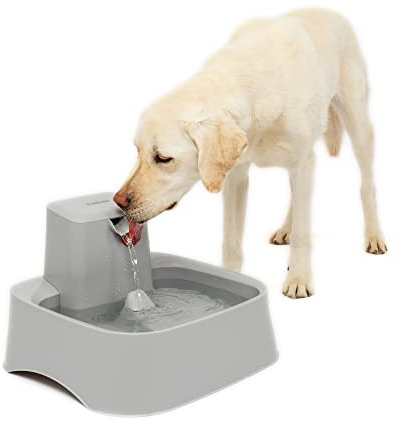 PetSafe Drinkwell Fontaine d'eau pour Chien et Chat en Plastique avec contrôle du débit réglable, Design Facile à Nettoyer, Gris, 7,6 L