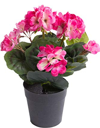 Nova-Nature künstliche Geranie (Geranienbusch) mit 6 Stielen im schwarzen Kunststofftopf (Beauty)