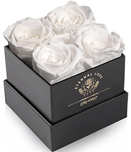 Impouo Konservierte Rose, Geschenke für sie, Geburtstagsgeschenke für Frauen, Muttertagsgeschenke, Geschenke für Mutter/Freundin/Ehefrau/Oma, Weihnachten, Geburtstag, Valentinstag – weiße Rose