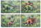 Set mit 4 Platzdeckchen, Dinosaurier-Design, Kunststoff, rechteckig, Esstischmatte, Küche