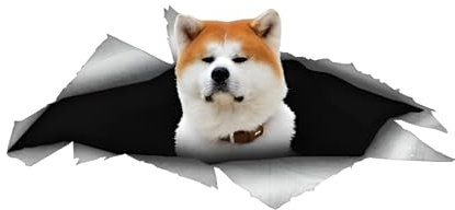 Autoaufkleber Gelb Akita Hund Aufkleber 18cm(7.1 Inch) Braun und Weiß Akita dog Car Sticker Lustig Akita Hund 3D Reflektierende Autoaufkleber Stoßstange Lustig Dekor
