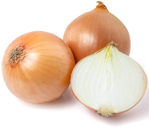 Onion Plants, 'Japanese', 12 x Plug Plant Pack, Vegetable Plants, White Onions, Garden Ready and Ready to Plant, Premium Quality Vegetables