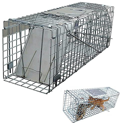 24 Cat Trap for Stray Cat Humane Rescue, Folding Humane Animal Trap Cages for Squirrel, Raccoon, Mole, Gopher, Opossum, Skunk & Chipmunk, Rust Resistant Long Lasting Live-Catch Trap,24 x 7.5 x 8.3