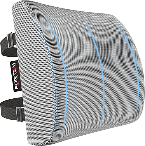 FORTEM Cojín Lumbar Ergonómico para Silla de Oficina, Coche y Gaming, con Espuma Viscoelástica de Alta Densidad y Funda Lavable, Respaldo Ortopédico para Mayor Comodidad