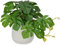 Oairse Small Artificial Plants in Ceramic Pots Decorative Fake Potted Plants Faux Monstera Leaves Realistic Greenery Tropical Plant Indoor for Aesthetic Home Office Kitchen Bathroom Desk Décor