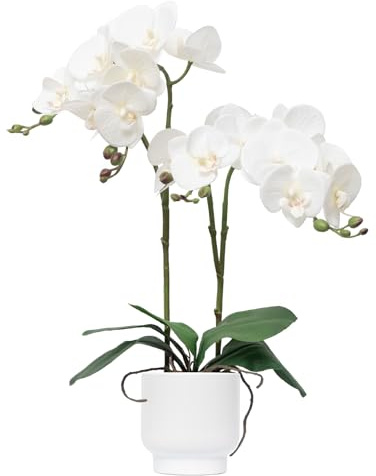 CXGS Orchids Artificial Flowers Real Touch Fake Flowers in Ceramic Pot 20 White Faux Orchid Plant Lifelike Silk Phalaenopsis for Centerpiece Hotel Home Indoor Decor