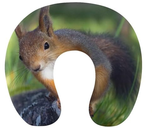 JZemdybill Reisekissen, niedliches Eichhörnchen-Nackenkissen für Reisen, Memory-Schaum, tragbares Stützkissen, Schlafkissen