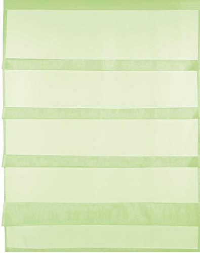 Transparente Bistrogardine Raffoptik mit Stangendurchzug in Voile, schlicht und modern in vielen erhältlich (80 x 110 cm/grün - apfelgrün)