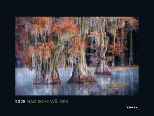 Magische Wälder - Kalender 2025 - Kunth-Verlag - Wandkalender mit faszinierenden Aufnahmen - wundervolle Waldlandschaften - 60 cm x 45 cm
