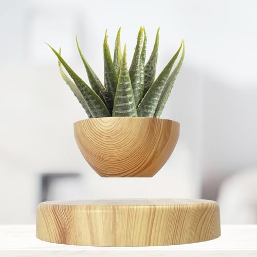 FLYSWITCH Levitatng Petit pot de fleurs flottant pour plantes grasses, décoration en lévitation pour la maison et le bureau (marron moyen)