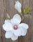 artplants.de Magnolie Kunstblume FEMI, weiß, 35cm, Ø12cm - Kunst Magnolia/Seidenblume