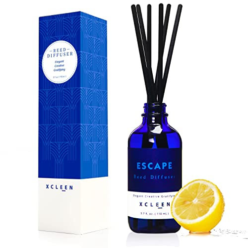 Xcleen Ensemble diffuseur d'huiles essentielles naturelles pour la maison, citron frais, pivoine, agrumes, jacinthe et mousse de chêne, idée cadeau pour décoration de bureau, 96,4 g