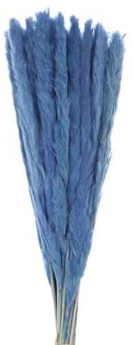 QUARKZMAN 30 Stück Getrocknetes Pampasgras für Deko 43cm Blau | Natürliche Trockenblumen, für Wohnzimmer Flur Bett und Szenerie-Dekoration
