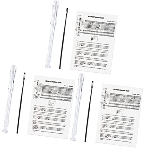 3 Stück 8 Anfänger Blockflöte Sopranblockflöte Aus Kunststoff Altblockflöte Barocke Blockflöte Durchsichtiger Sopran Bansuri-flöte Deutsche Sopranblockflöte Abs Instrument Barock-