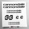Aufkleber-Set kompatibel mit Rahmen MTB Mountainbike und Helm | Decals Aufkleber für Fahrräder mit Logos | Stickersland® – Cannondal V2 (Schwarz glänzend)