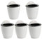 UWEOTYYY Plantas suculentas Pot Flor Que cuelga de plástico Muro de Agua autoenlatando con 5 Ganchos Blancos Blancos 5pcs Suministros de jardín al Aire Libre