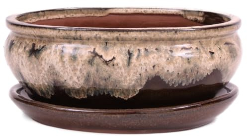 Bonsai-Shopping Bonsai - Schale oval 21 x 16.5 x 8 cm, beige/braun, mit Untersetzer 23204