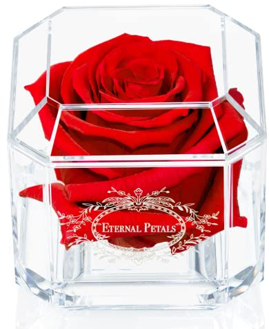 A 100% Real Rose That Lasts A Year - The Perfect Unique Gift for Women and Men, An Anniversary Gift, A Birthday Gift - White Gold Solo (Red)