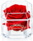 A 100% Real Rose That Lasts Years - Eternal Petals, Handmade in UK, Flowers Delivery Next Day Prime – White Gold Solo (Red)