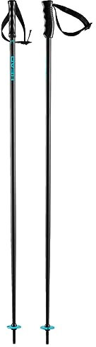 HEAD Bâtons de Ski Multi Skistöcke Unisexe-Adulte, Bleu, 120