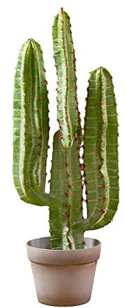 Moderner Kaktus im Topf - Großer Kunstkaktus/Künstlich - Höhe 70cm - Premium Kunstpflanze - Sukkulenten Pflanze - Grüner Kaktus Künstlich/Kunstkaktus/Dekopflanze/Dekokaktus