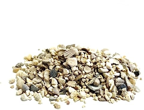 1kg Hen Oystershell Chicken Grit GJJ