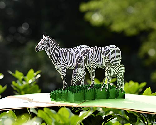 CUTPOPUP Pop-Up-Karte für Kinder, Sohn, Neffe, Kinder, Jugendliche, eine bemerkenswerte Karte mit künstlerischem Design, wunderbares Geburtstagsgeschenk für Zebra-Liebhaber